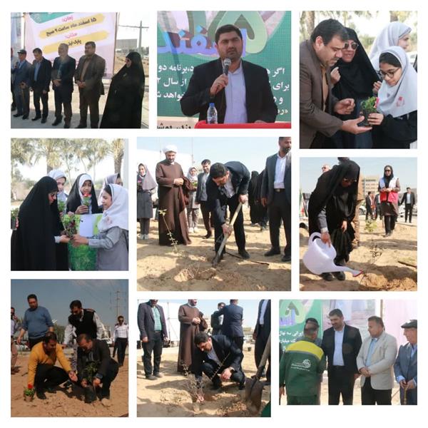 حضور رییس و اعضای شورای شهر بوشهر در آیین کاشت درخت به مناسبت ۱۵ اسفند  روز درختکاری در پارک لیل بوشهر